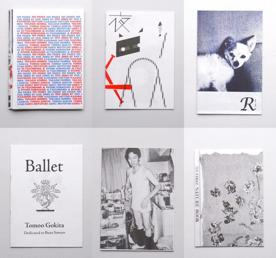 100 PAGES / 5 ZINES 2ND EDITION - amala
