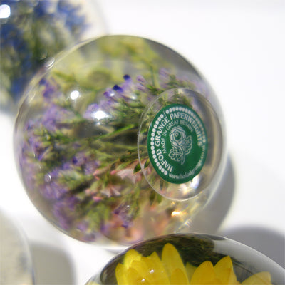 Hafod Grange Paperweight / Cornflower ヤグルマギク - amala